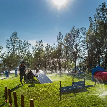 Camping Adria Mobile Homes Lanterna Park za odmor Porec